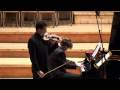 Miniature de la vidéo de la chanson Sonata For Violin And Piano In A Major: Ii. Allegro