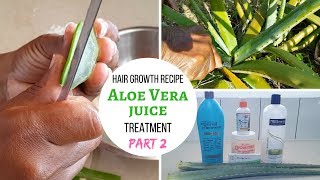 Aloe Vera Plant | for hair growth (part 2)