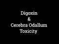 Digoxin Toxicity || Cerebra Odallum Toxicity