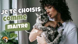 Comment le chat choisitil son maitre? les secrets révélés