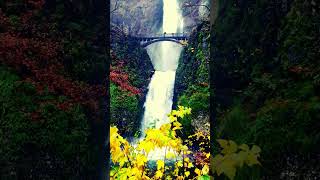 Amazing Place on Earth  #waterfall relaxing #video