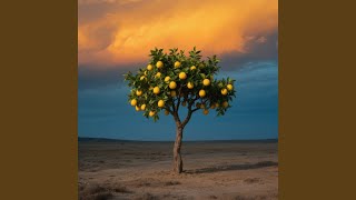 The Last Lemon Tree