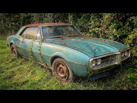 Fixing up an old Firebird