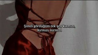 Everybody Loves An Outlaw - I See Red (Türkçe Çeviri)