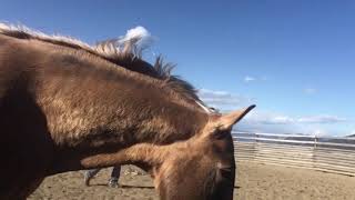 Boberry Learning To Problem Solve And Take Support