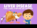 Liver Disease: Types, Causes, Symptoms and Treatment - Learning Junction