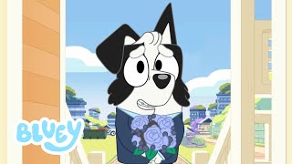 Bluey The Love Confession Season Special