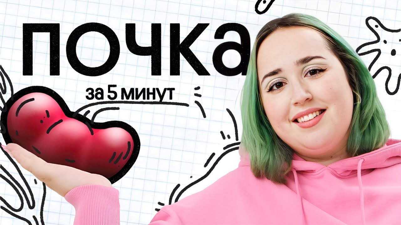 СТРОЕНИЕ ПОЧКИ ЗА 5 МИНУТ! - YouTube