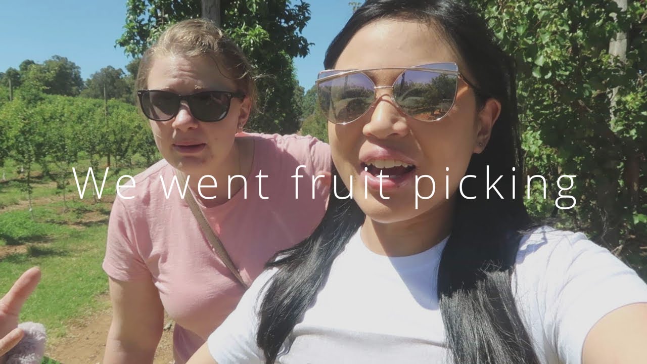 We went fruit picking YouTube