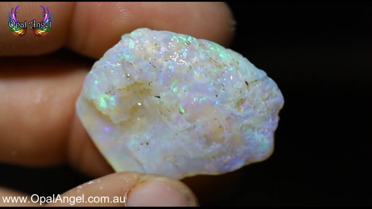 30 CT Coober Pedy Opalized Cockle Shell