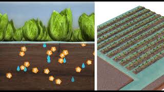 Drip Irrigation - Nutrigation Drip Irrigation - Nutrigation
