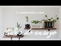 Cómo hacer jarrones con tubos de ensayo