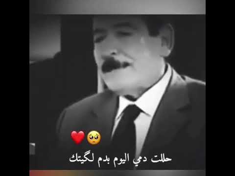 عريان السيد خلف دارمي غزلي لو اكدر اني انساك حالات واتساب ستوري انستا