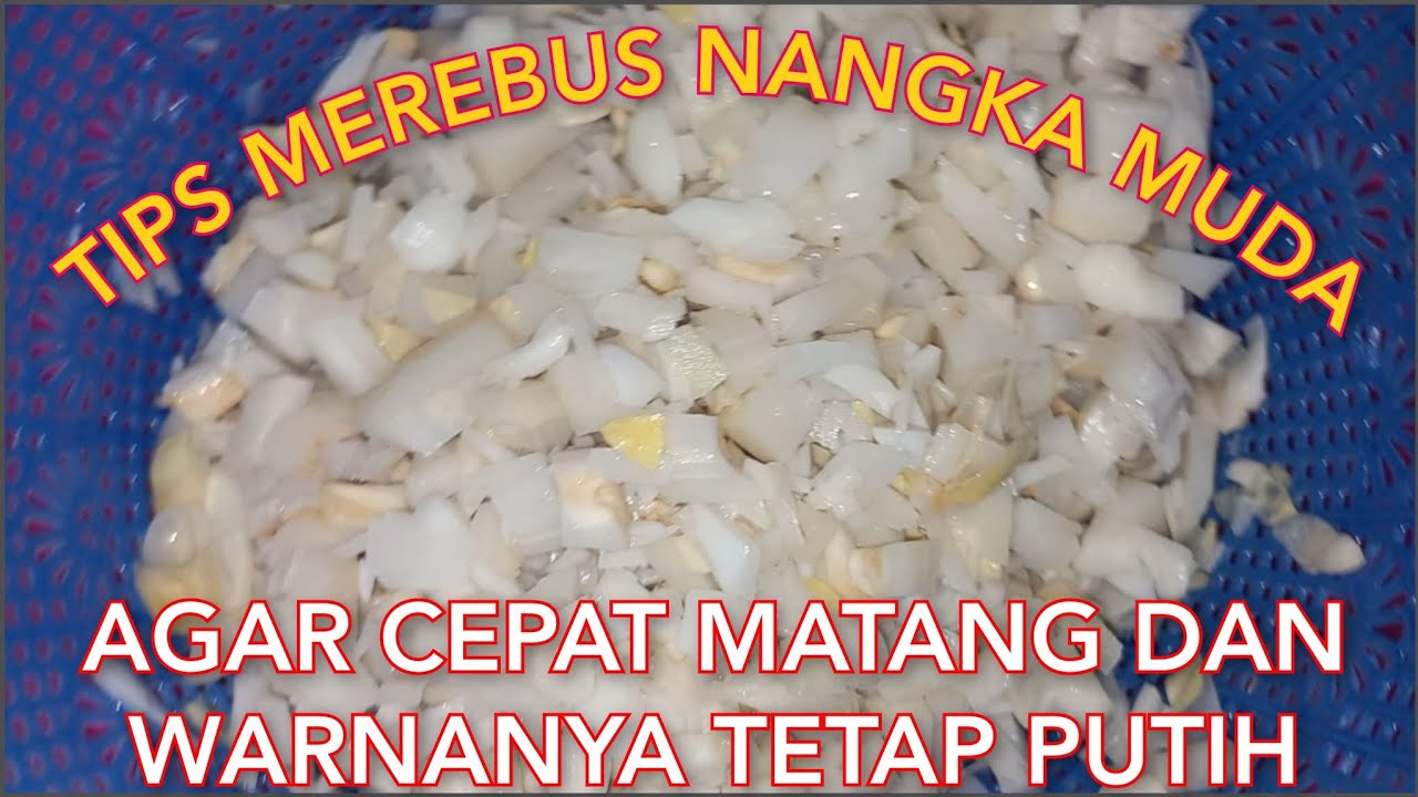 TIPS MEREBUS NANGKA MUDA || AGAR CEPAT MATANG DAN WARNANYA TETAP PUTIH TIPS MEREBUS NANGKA MUDA || AGAR CEPAT MATANG DAN WARNANYA TETAP PUTIH