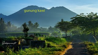 Video cinematic alam || cinematic sawah || cinematic drone view || nature cinematic video