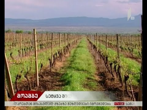 სეტყვამ სოფელი შილდა დააზარალა