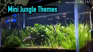 Aquarium dengan Tema Hutan / Semak Belukar