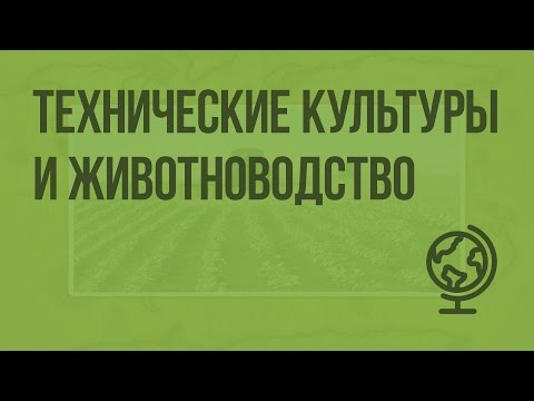 География сельского хозяйства. Технические культуры и животноводство. Видеоурок по географии 9 класс