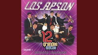 Video thumbnail of "Los Apson - Señor Apache (Mister Custer-)"