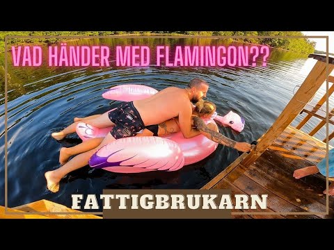 Video: Det Lilla Men Fascinerande Området För Irländskt Vin