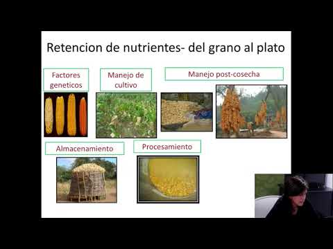 Calidad Nutricional del Maíz