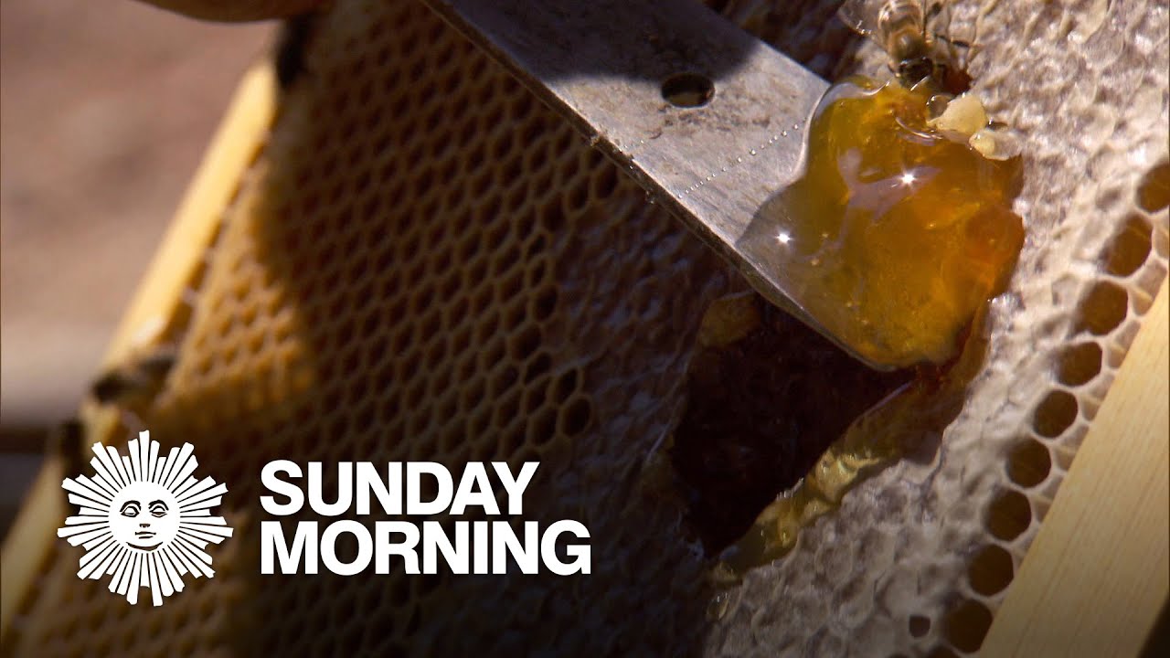 National Spotlight on Ikarian Honey on CBS Sunday Morning News - The Pappas  Post