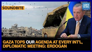 Download Lagu Gaza Tops Our Agenda At Every Int'l, Diplomatic Meeting: Turkish President | Dawn News English MP3