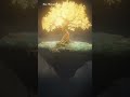Sacred Floating Tree | Deep Calm &amp; Sacred Stillness Meditation #ytshorts #stressrelief #meditation