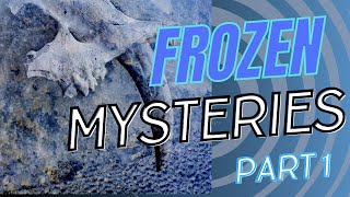 20 Strangest Things Found Frozen in Ice - Part 1 by Stellar Eureka 1,008 views 8 months ago 14 minutes, 44 seconds