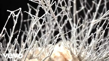 Impes - Dissenesis: 1.Dissension (Official Video) ft. Carla Costeira