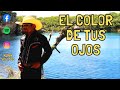 EL COLOR DE TUS OJOS - MARIN VELASCO