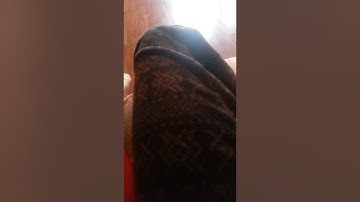 How to soft reset for a shiny starter in ORAS