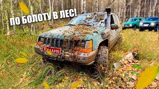 Ковровое болото,Лайт маршрут #offroad