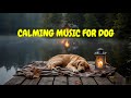 12 HOURS of Sleep Music for Dogs With Home Alone Stress 🐾🎶 | Calm and Soothe Barking or Whining