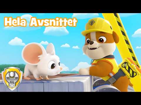 Gänget Fixar Ett Gnissel (Hela Avsnittet) | Rubble & Crew | Tecknat för barn