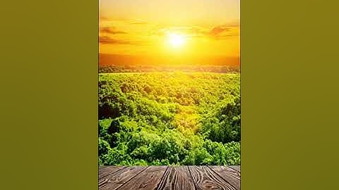 القرآن الكريم.آية الكرسي:القارئ سالم الرويلي