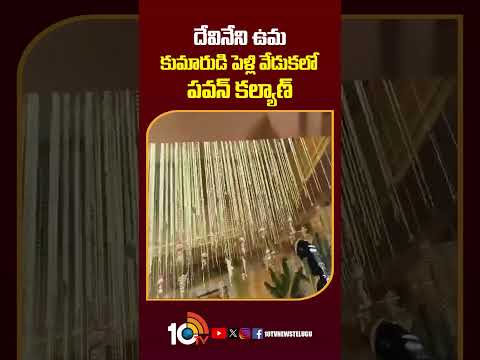 దేవినేని ఉమ కుమారుడి పెళ్లి వేడుకలో పవన్ కల్యాణ్  pawankalyan  devineniuma  apnews  10tvnews