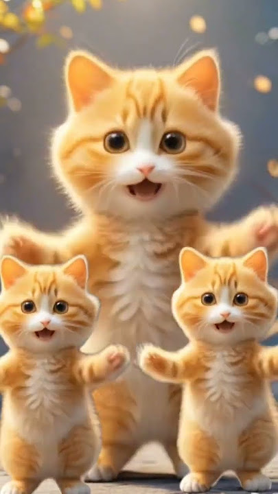 Tang Ting tung kucing bergoyang #kucingjoget #kucing #dancingcat #kucinglucu #cat #kucingmenari #cut