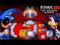Sonicexe the disaster 2d  the final survivor of the group