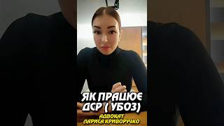 &quot;ЯК ПРАЦЮЄ ДСР (УБОЗ)&quot; ЛАРИСА КРИВОРУЧКО АНТИКОРУПЦІЙНИЙ ФРОНТ ЛАРИСИ КРИВОРУЧКО. ІА УКРІНФОПРЕС.