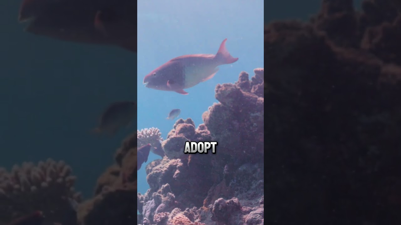 We have ocean solutions… so why aren’t they working? Listen to the full episode.