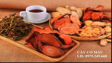Cây cỏ máu - bổ âm, kích dương, thanh lọc cơ thể, bồi bổ sức khỏe, bổ máu, tái tạo tế bào mới…