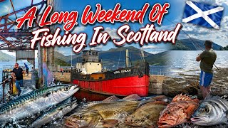 🌞 A LONG WEEKEND OF FISHING 🎣 IN SCOTLAND 🏴󠁧󠁢󠁳󠁣󠁴󠁿 | SUMMER FUN 🤩