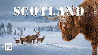 SCOTLAND | Life, Survival &amp; Endurance in Europe’s Last Wild Frontier | Full Documentary