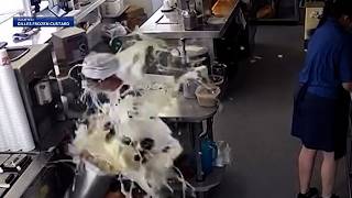 Frozen Custard Shop Fiasco