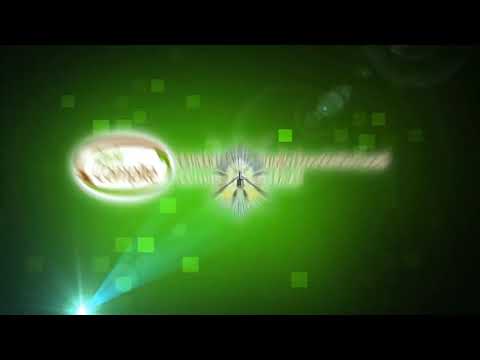Tema: PRODUCTO DANLIDENSE