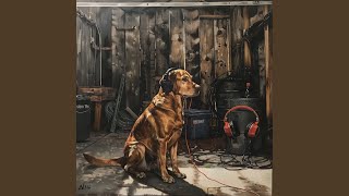 Gentle Bark Rhythm
