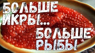 Больше Икры.... Больше Рыбы