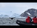 ANTARCTICA journey trip vlog | Episode 5 - DISCOVERING THE WILDLIFE | THERE IS NO PLANET B | tado°