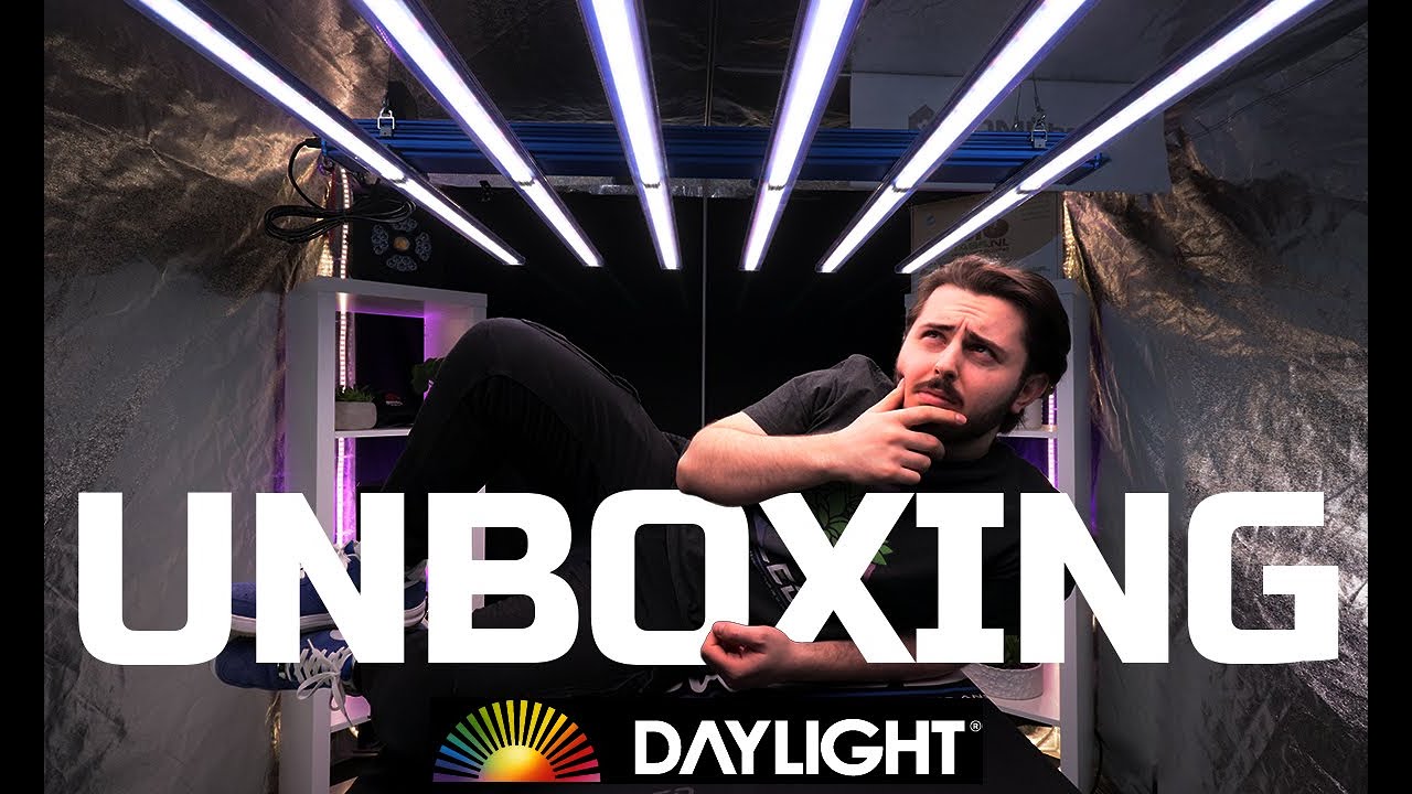 🌟 Unboxing du puissant éclairage LED 660W PRO DAYLIGHT pour ta culture en intérieur ! 💥